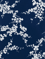 Gaston Y Daniela Primavera Azul Wallpaper