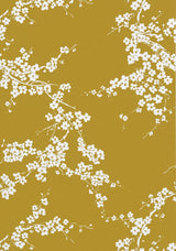 Gaston Y Daniela PRIMAVERA MOSTAZA Wallpaper