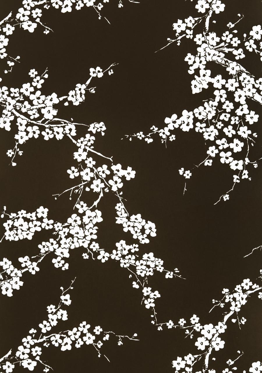 Gaston Y Daniela PRIMAVERA CHOCOLATE Wallpaper