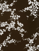 Gaston Y Daniela Primavera Chocolate Wallpaper