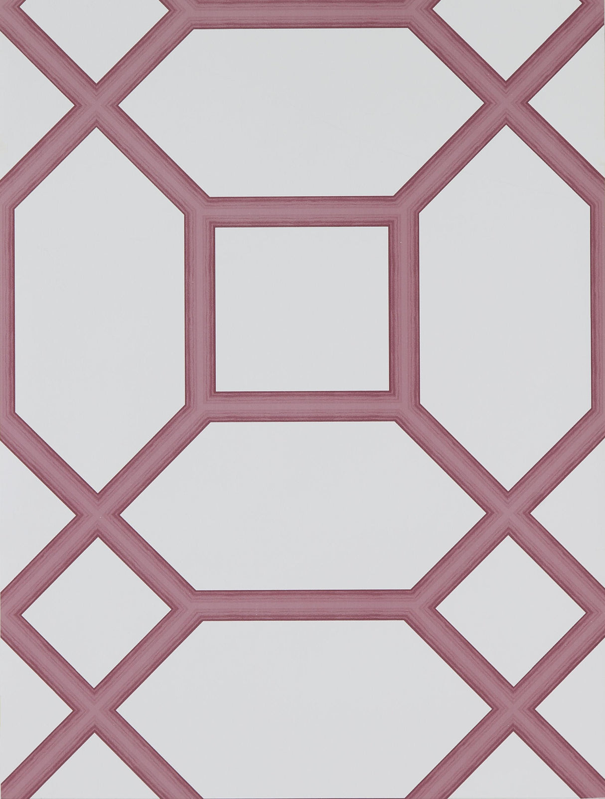 Gaston Y Daniela MIGUEL FRESA Wallpaper