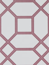 Gaston Y Daniela MIGUEL FRESA Wallpaper