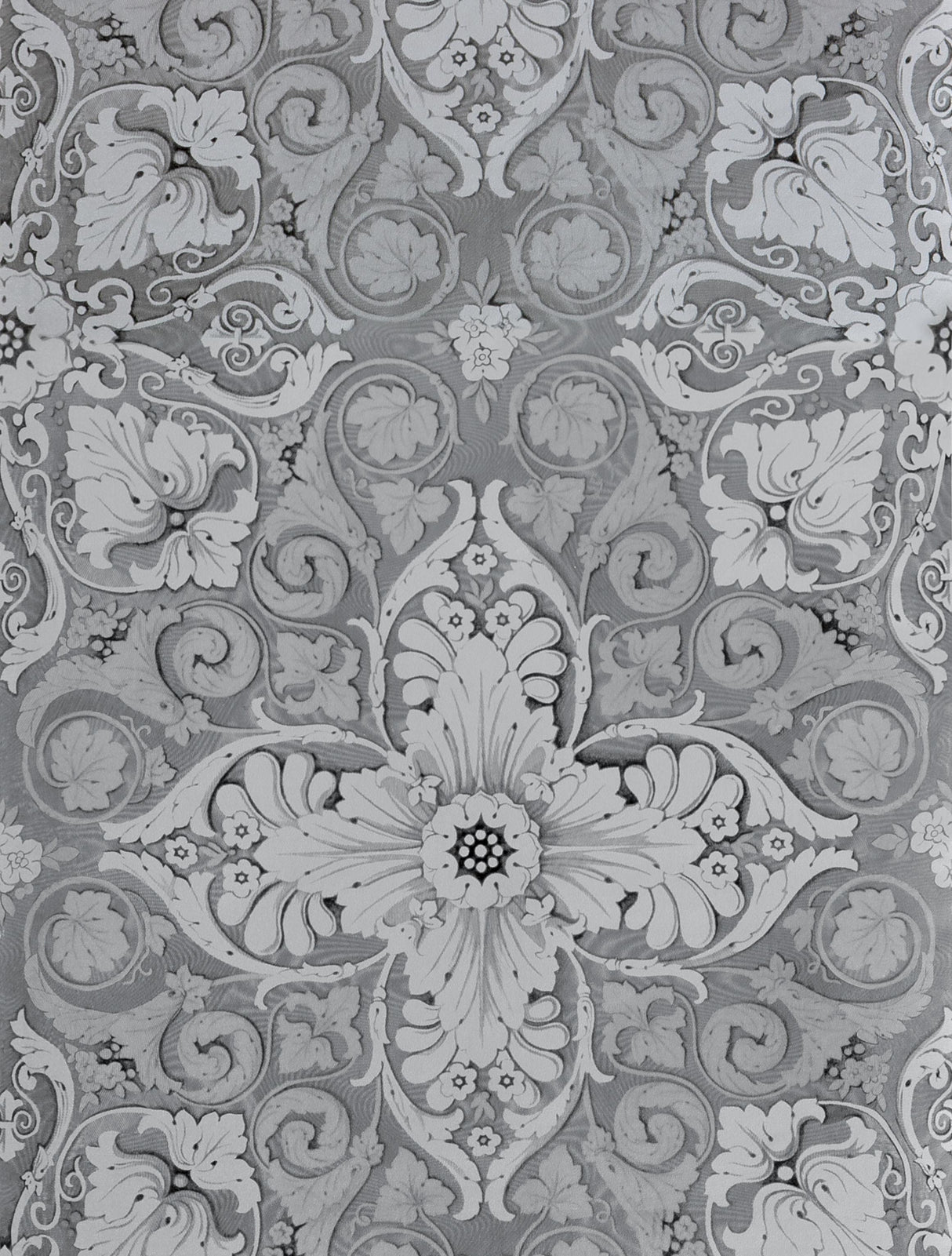 Gaston Y Daniela ESTELA PLATA Wallpaper