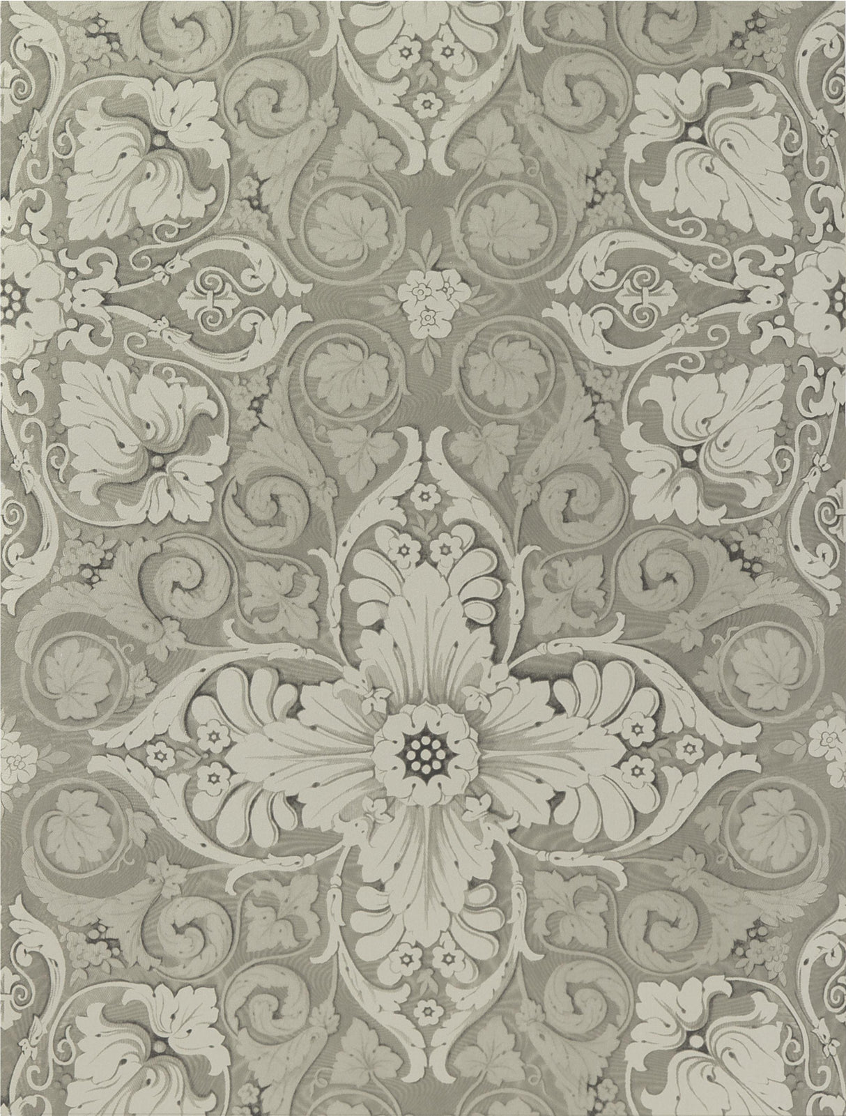 Gaston Y Daniela ESTELA TOPO Wallpaper