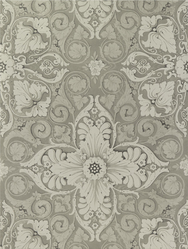 Gaston Y Daniela ESTELA TOPO Wallpaper