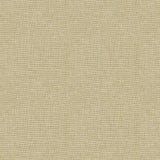 Kravet SAXON SANDSTONE Fabric