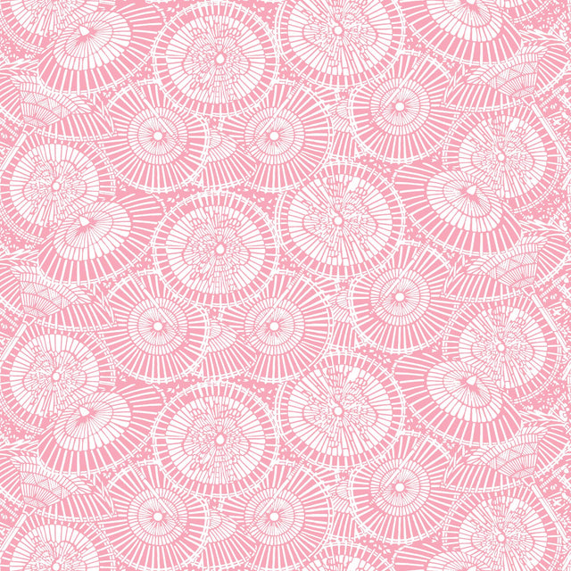 Gaston Y Daniela SOMBRILLAS ROSA Wallpaper