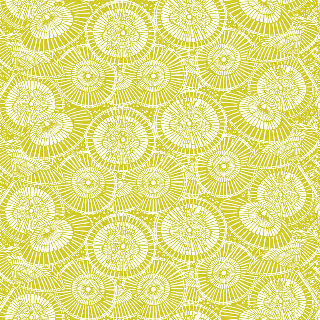 Gaston Y Daniela SOMBRILLAS MOSTAZA Wallpaper