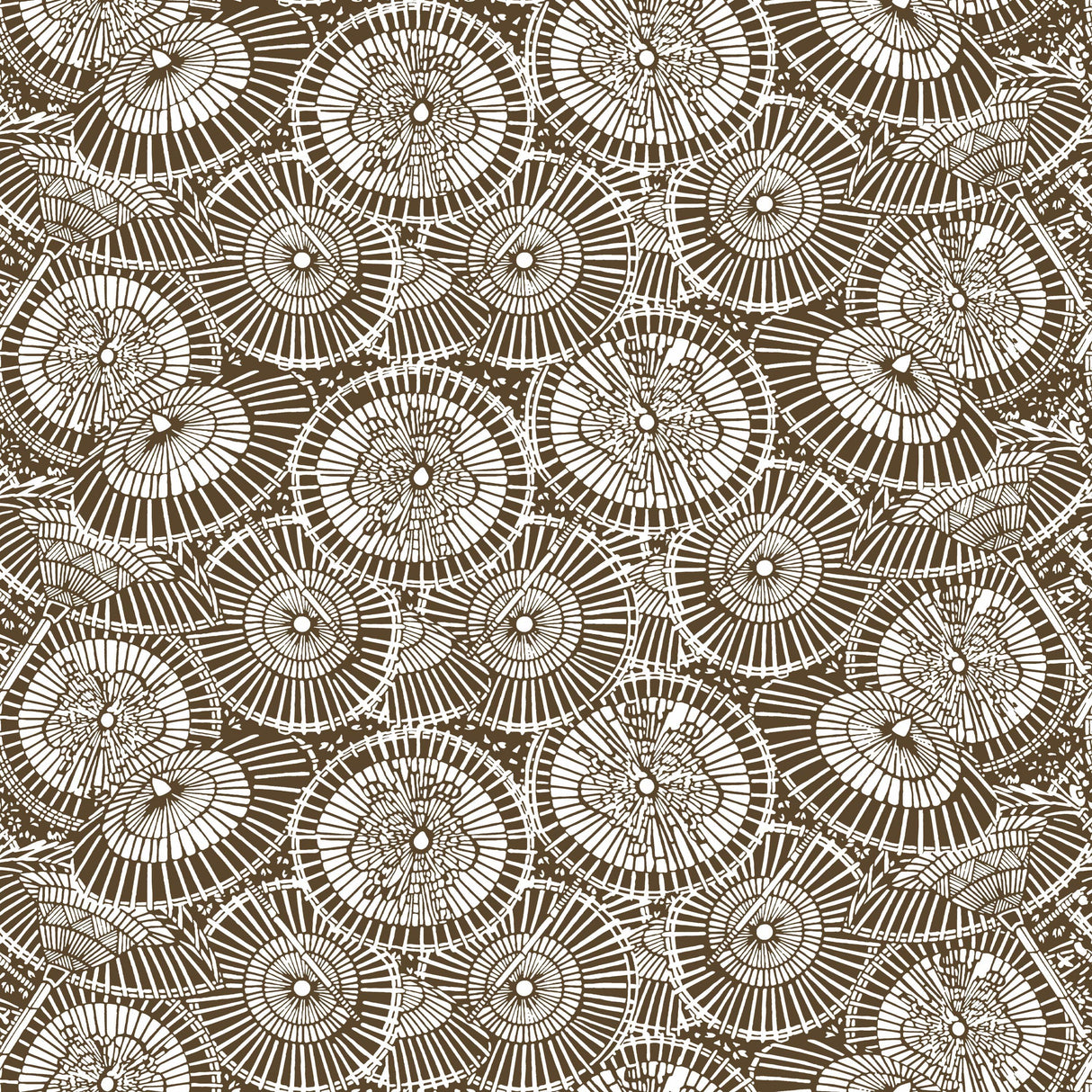 Gaston Y Daniela SOMBRILLAS CHOCOLATE Wallpaper