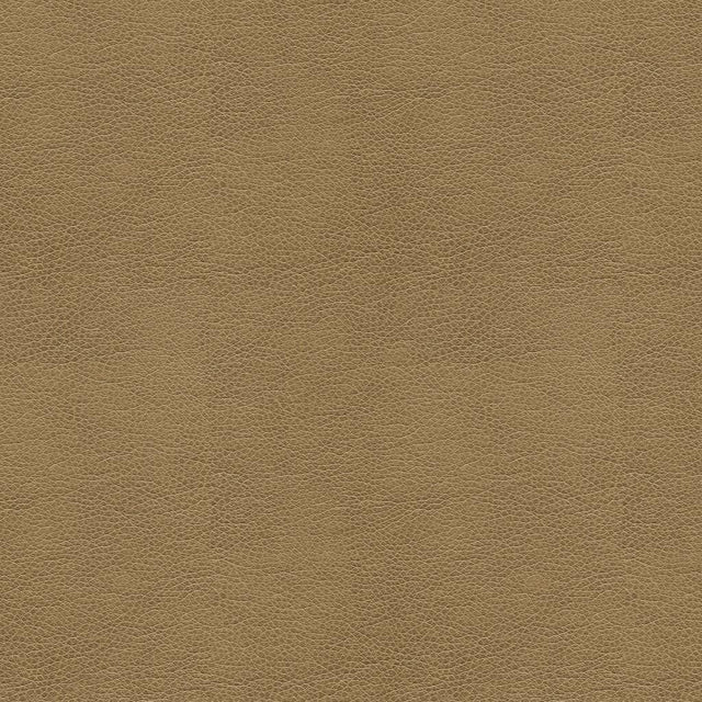 Kravet SMART ALINA 106 Upholstery Fabric