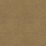 Kravet SMART ALINA 106 Upholstery Fabric