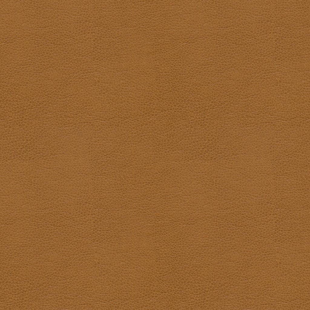 Kravet SMART ALINA 16 Upholstery Fabric