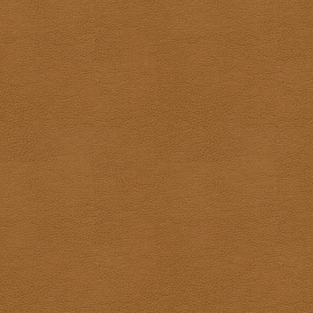 Kravet SMART ALINA 16 Upholstery Fabric