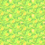 Gaston Y Daniela GRANADAS AMARILLO Wallpaper