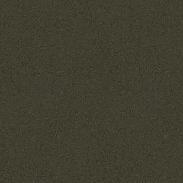 Kravet SMART ALINA 21 Upholstery Fabric