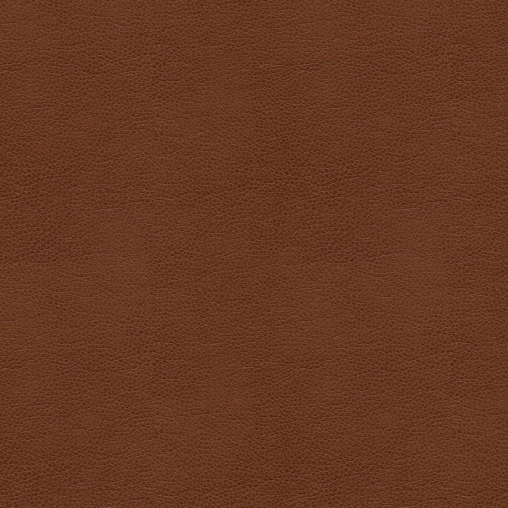 Kravet SMART ALINA 6 Upholstery Fabric