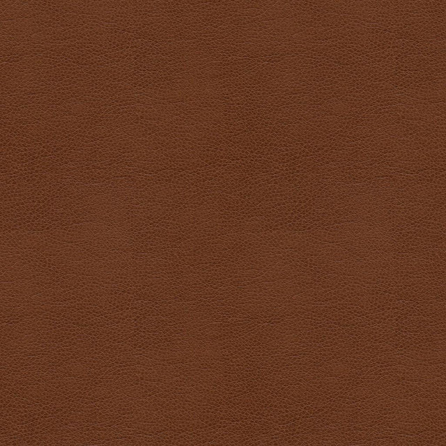 Kravet SMART ALINA 6 Upholstery Fabric