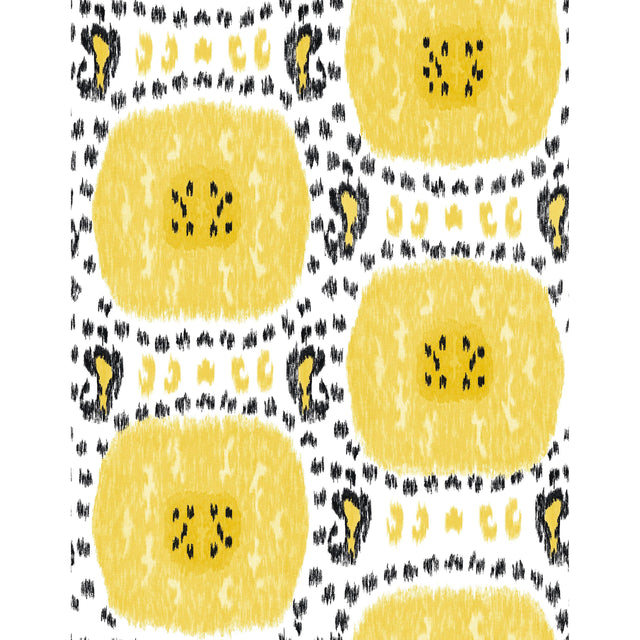 Gaston Y Daniela GRAN SOL AMARILL0 Wallpaper