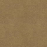 Kravet CONTRACT BALARA 106 Upholstery Fabric