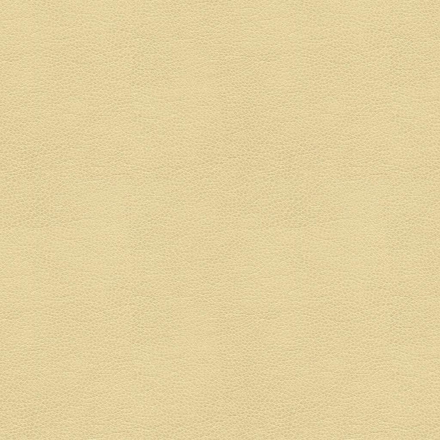 Kravet CONTRACT BALARA 116 Upholstery Fabric