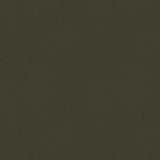 Kravet CONTRACT BALARA 21 Upholstery Fabric