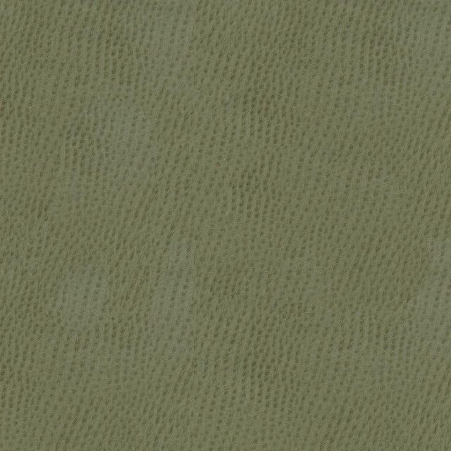 Kravet CONTRACT BELUS 11 Upholstery Fabric
