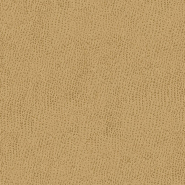Kravet CONTRACT BELUS 1616 Upholstery Fabric