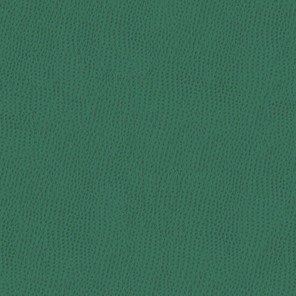 Kravet CONTRACT BELUS 35 Upholstery Fabric
