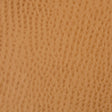 Kravet CONTRACT BELUS 4 Upholstery Fabric