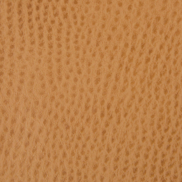 Kravet CONTRACT BELUS 4 Upholstery Fabric