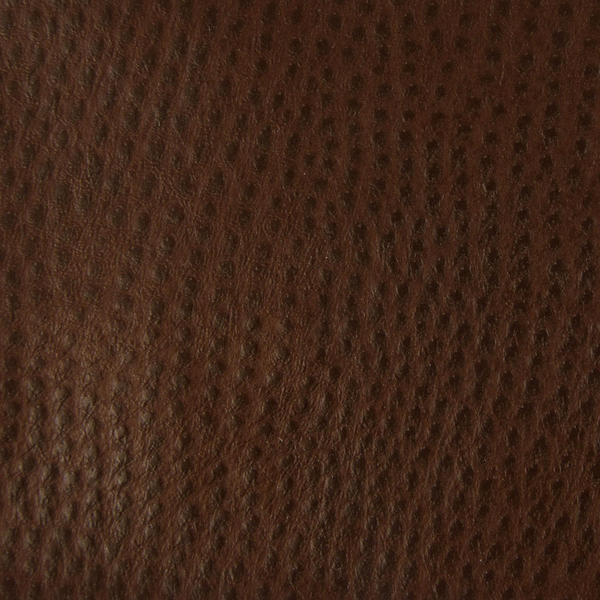 Kravet CONTRACT BELUS 6 Upholstery Fabric