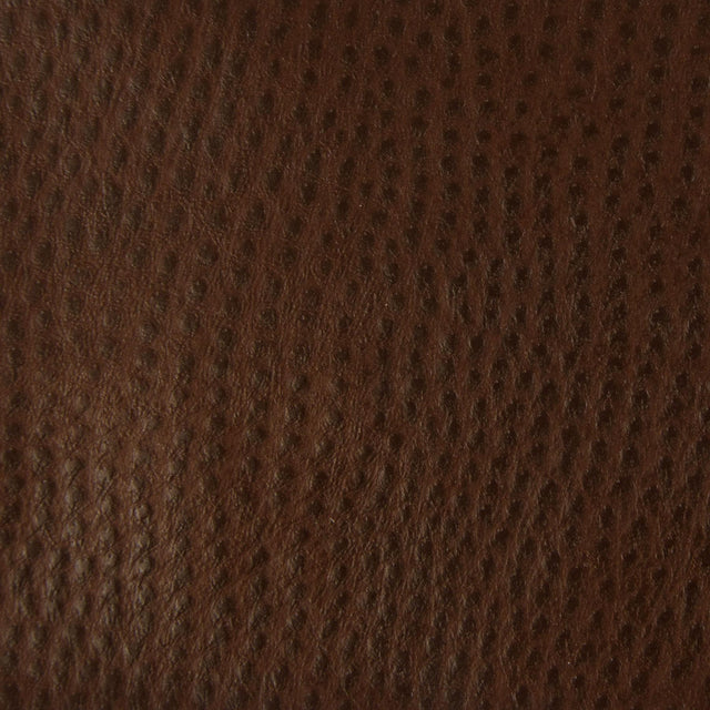 Kravet CONTRACT BELUS 6 Upholstery Fabric