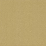 Kasmir Boxwood Chamois Fabric
