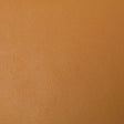 Kravet CONTRACT BERTA 4 Upholstery Fabric