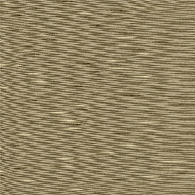 Kasmir Boxwood Husk Fabric