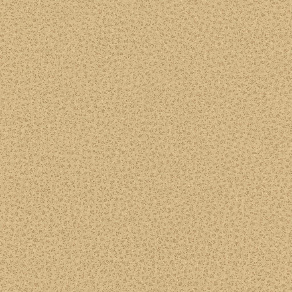 Kravet CONTRACT BESS 16 Upholstery Fabric