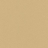 Kravet CONTRACT BESS 16 Upholstery Fabric