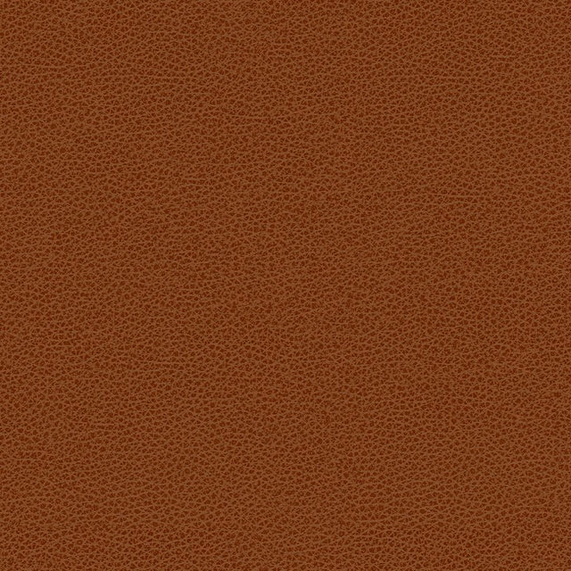 Kravet CONTRACT BESS 24 Upholstery Fabric