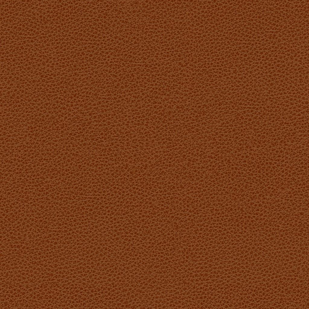 Kravet CONTRACT BESS 24 Upholstery Fabric