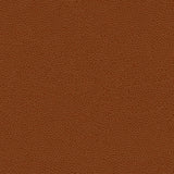 Kravet CONTRACT BESS 24 Upholstery Fabric