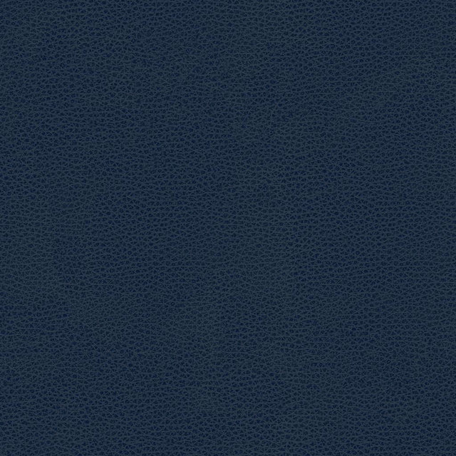 Kravet CONTRACT BESS 5 Upholstery Fabric