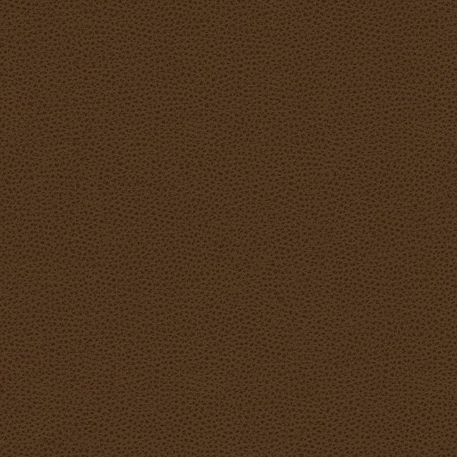 Kravet CONTRACT BESS 6 Upholstery Fabric