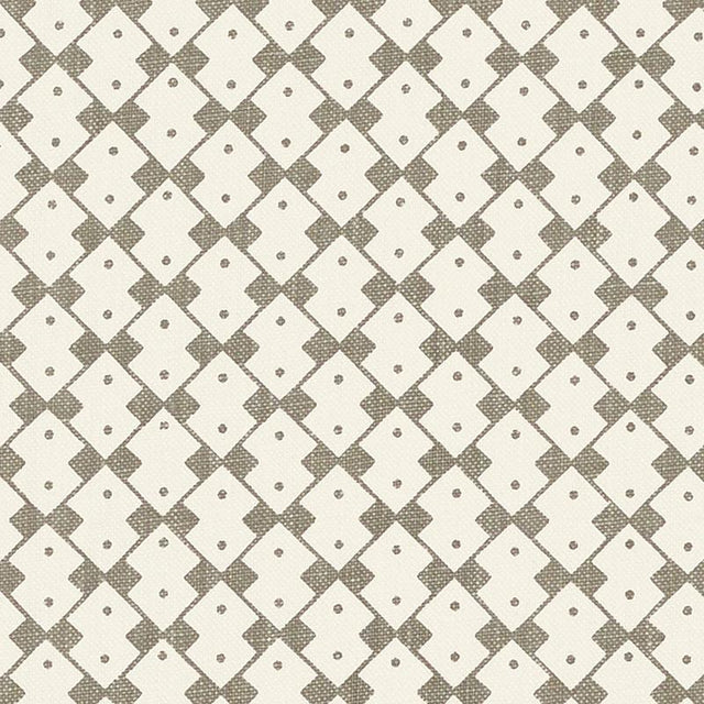 Schumacher Domino Muse Fabric
