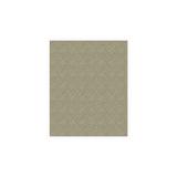 Kravet Free Water Haze Fabric