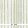 Schumacher Montallegro Linen Sheer Grass Fabric