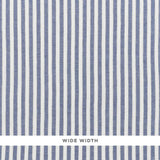 Schumacher Regatta Linen Stripe Sheer Chambray Fabric