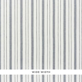 Schumacher Renato Linen Sheer Grey Fabric