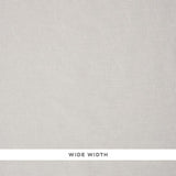 Schumacher Rocha Sheer Zinc Fabric