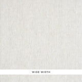 Schumacher Tori Stripe Sheer Linen Fabric