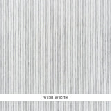 Schumacher Tori Stripe Sheer Graphite Fabric